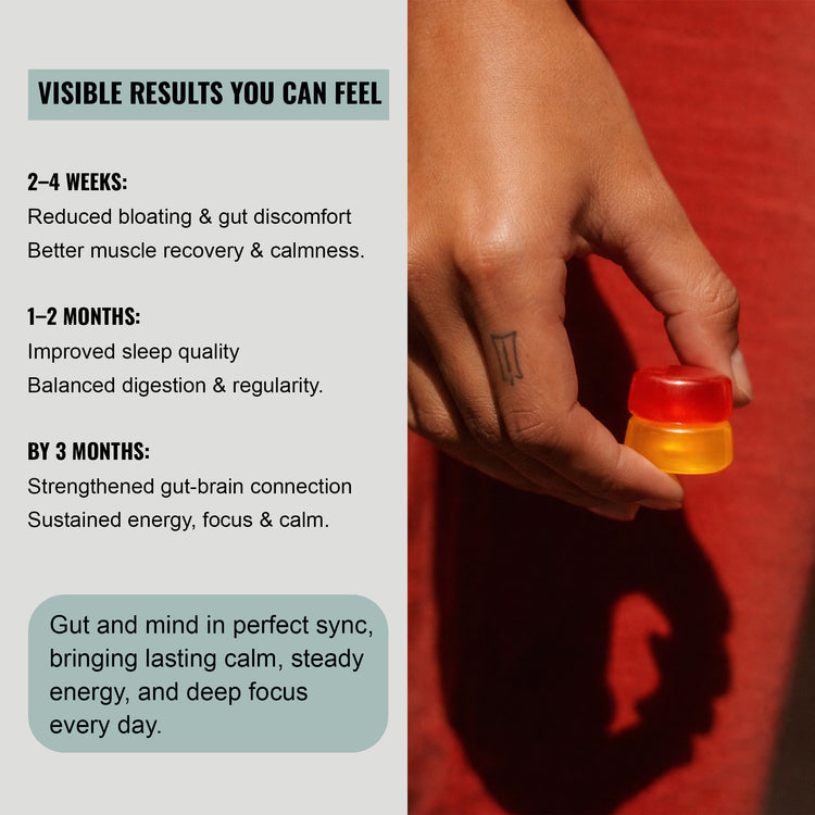 The Gut & Calm Gummies