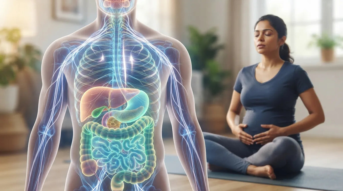 Prebiotics vs Probiotics for Sustainable Weight Management