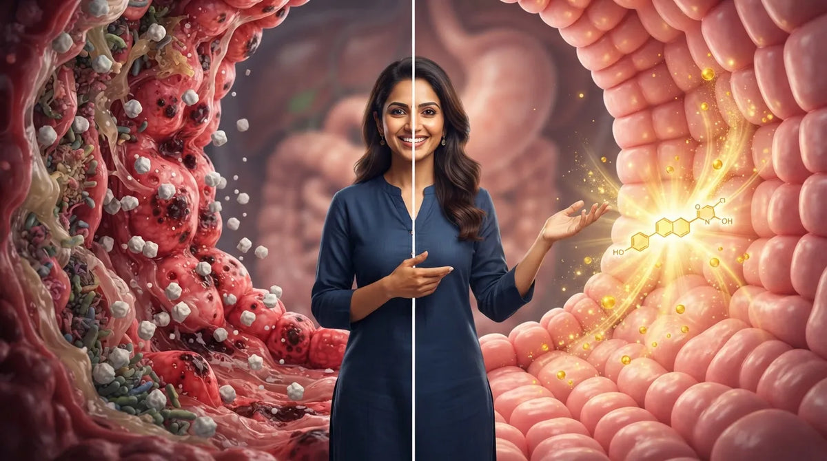 The Best Gut-Healing Foods to Support Healthy Weight Loss
